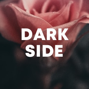 Dark SIde cover