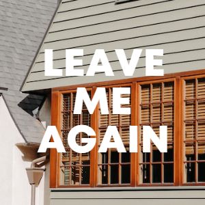 Leave Me Again cover