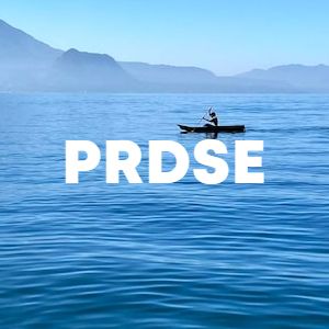 PRDSE cover