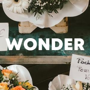 Wonder cover