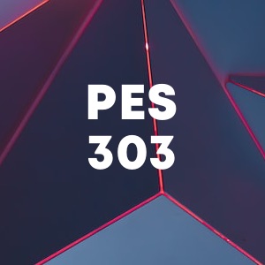 Pes 303 cover