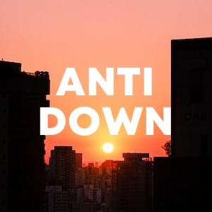 Anti Down cover