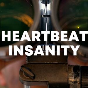 Heartbeat Insanity cover