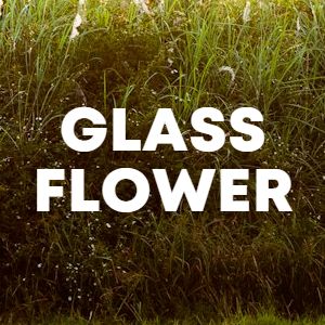 Glass Flower cover
