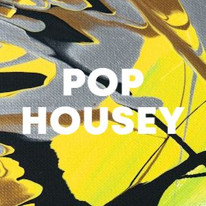 Pop Housey cover