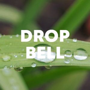 Drop Bell cover
