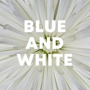 Blue And White cover