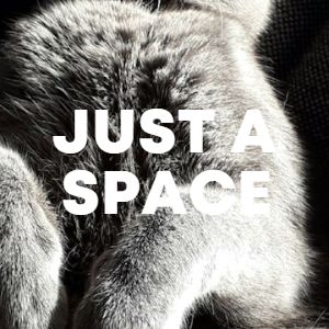 JUST A SPACE cover