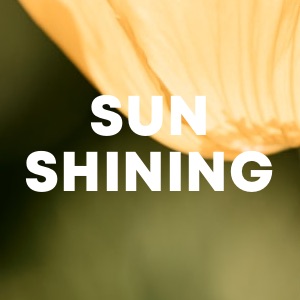 Sun Shining cover
