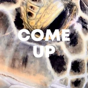 COME UP cover