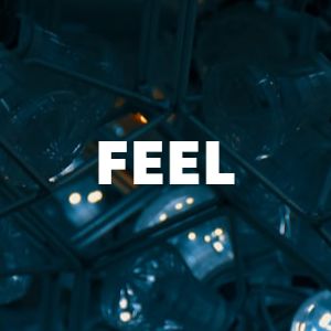 Feel cover