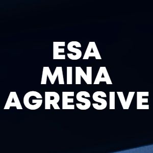 ESA MINA AGRESSIVE cover