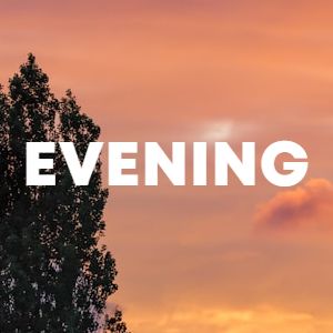 Evening cover