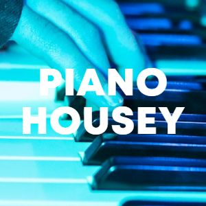 Piano Housey cover