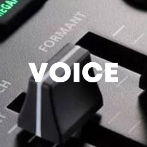 Voice cover