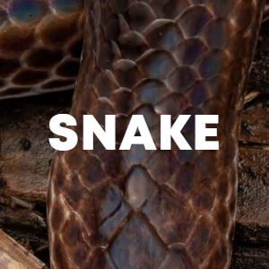 Snake cover