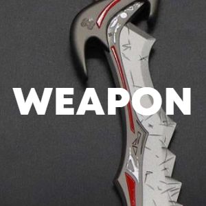 Weapon cover