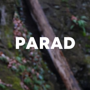 Parad cover