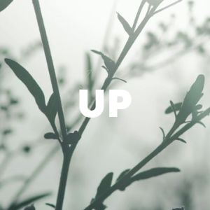 UP cover