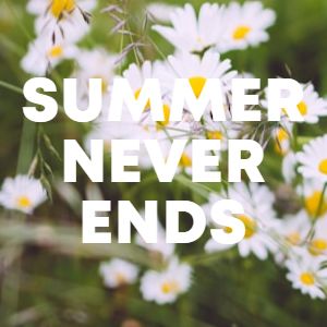 Summer Never Ends cover