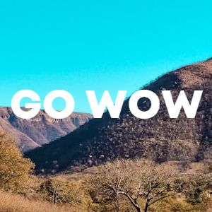 Go WOW cover