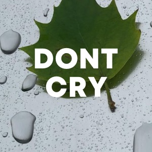 Dont Cry cover