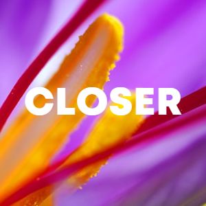 Closer cover