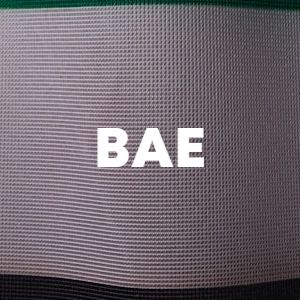 Bae cover