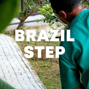 Brazil Step cover