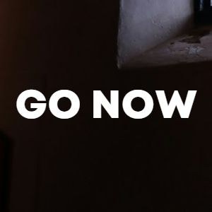 GO NOW cover