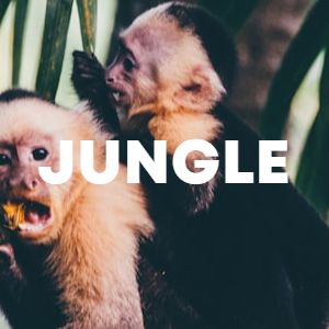 Jungle cover