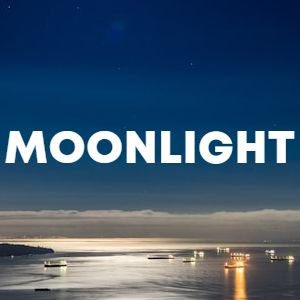 Moonlight cover