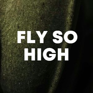 Fly So High cover