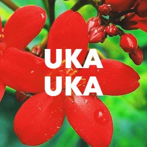 Uka Uka cover