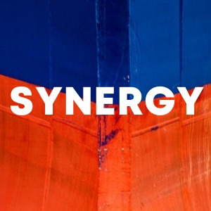 Synergy cover