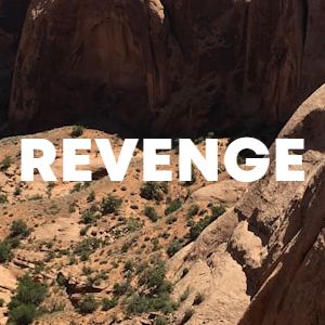 Revenge cover