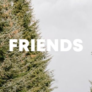 Friends cover