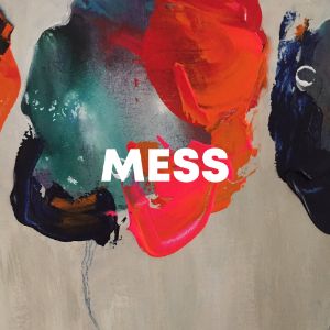 Mess cover