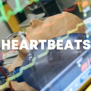 heartbeats cover