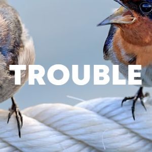 Trouble cover