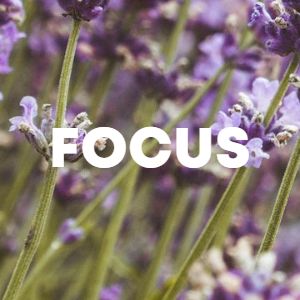 Focus cover