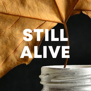 Still Alive cover