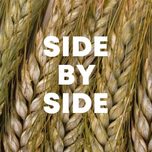 Side By Side cover