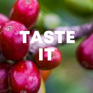 Taste It cover