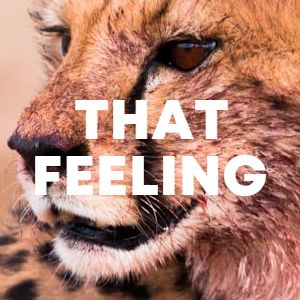 THAT FEELING cover