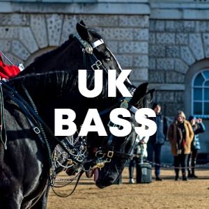 UK BASS cover