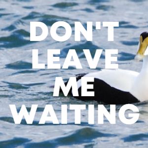 Don't Leave Me Waiting cover