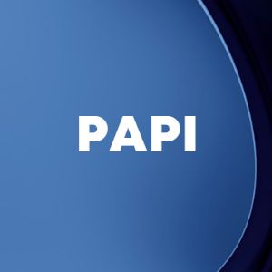 Papi cover