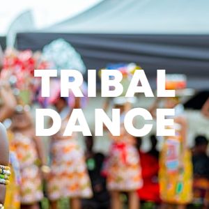 Tribal Dance cover