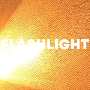 flashlight cover